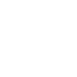 Equipe Multidisciplinar